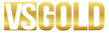 Logo VS Gold